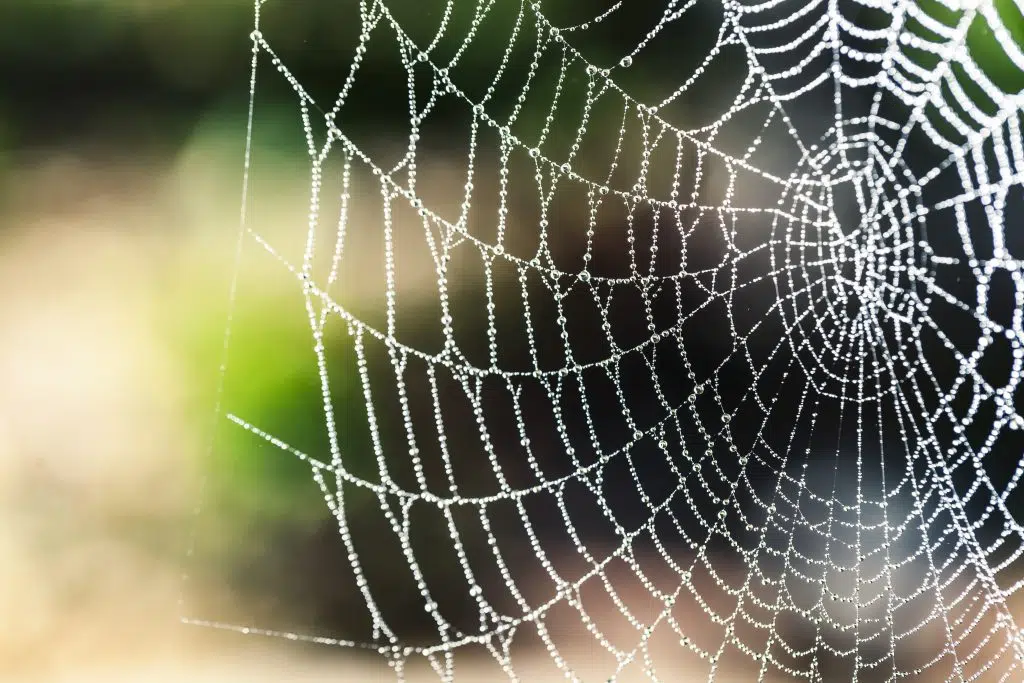 webmarketing
